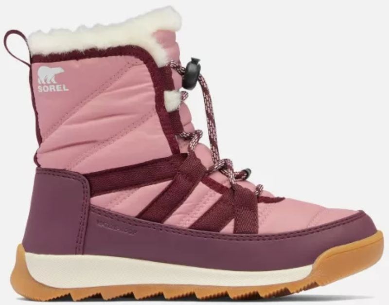 WHITNEY II PLUS LACE WP 2088591