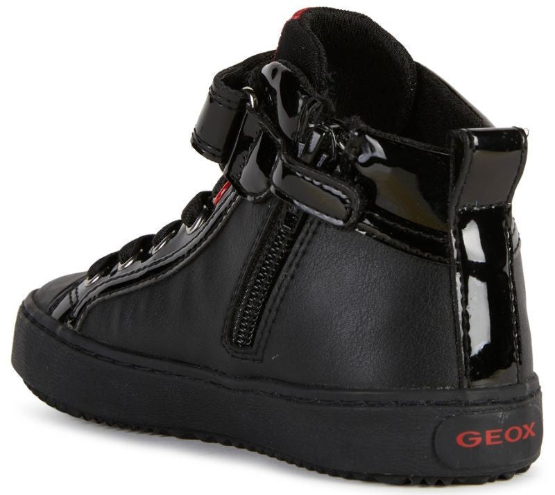 KALISPERA G.B J264GB