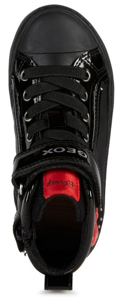 KALISPERA G.B J264GB