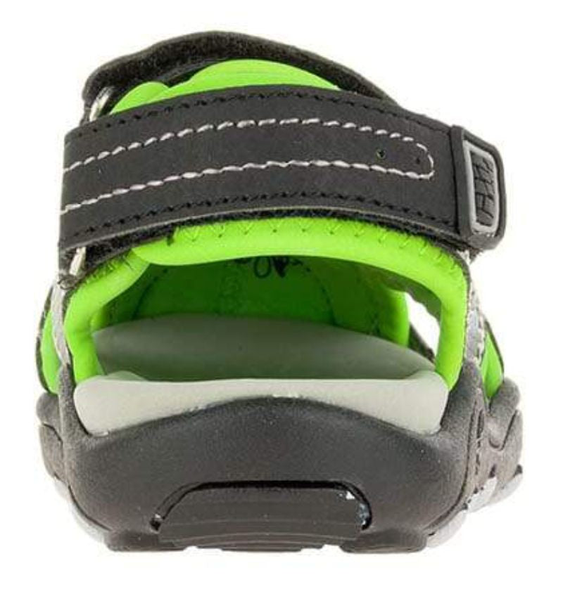 SEATURTLE 2 HK8042
